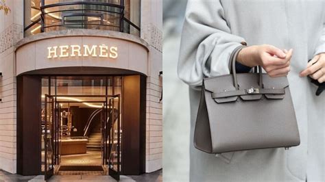 hermes birkin sue|tina cavalleri Hermes lawsuit.